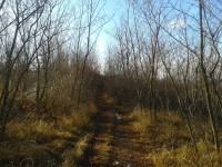 /album/kepek/a2011-12-31-12-20-24-jpg/